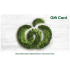 Woolworths eGift Card - $500